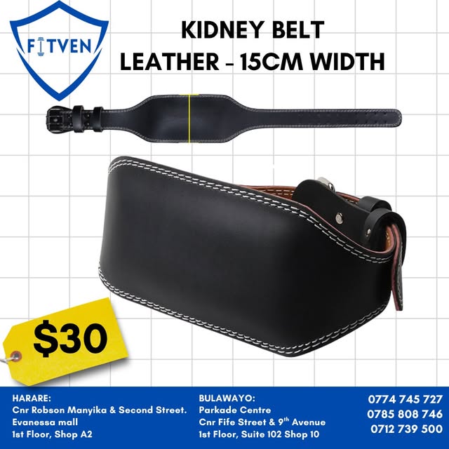 Leather kidney belt